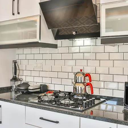 3 Bedroom Luxury In Hacioglan Village ヴィラ *